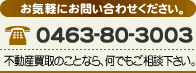 dbԍF0463-80-3003