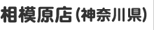 ͌Xi_ސ쌧j